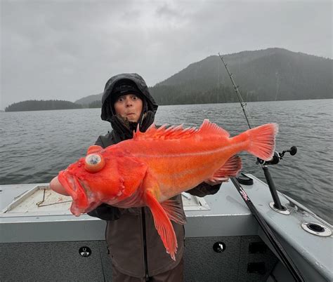 fishnmore murray age